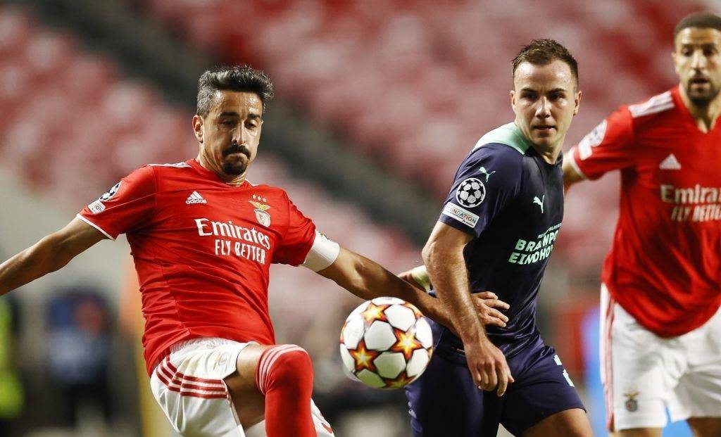 优雅的风度 优雅的风度